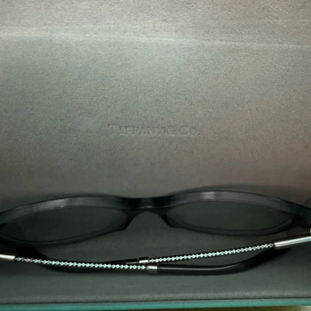 Tiffany & Co. Translucent Gray Eyewear - Picture 11 of 15